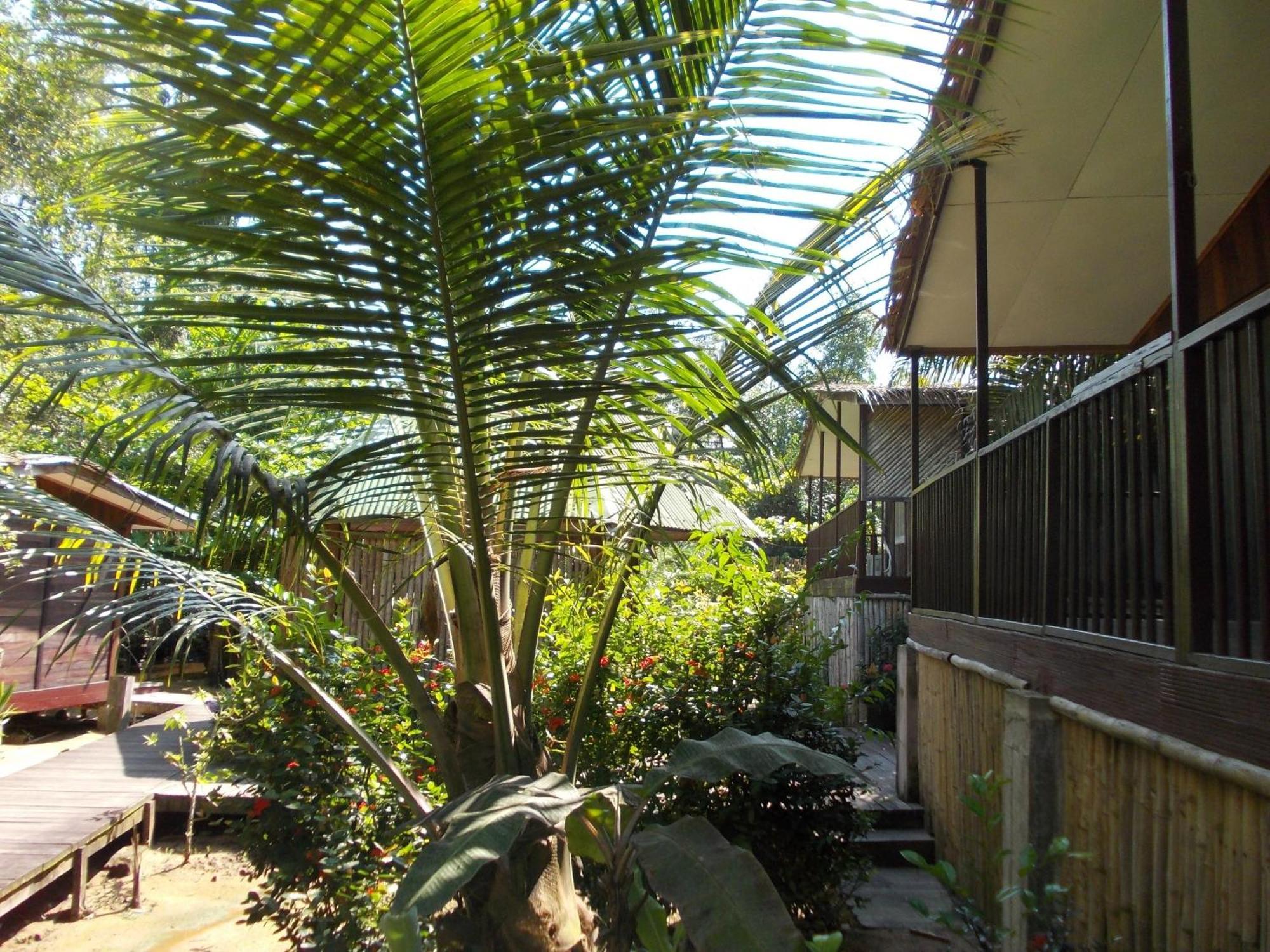 Hotel Restaurant Gites Kribi Ngoại thất bức ảnh
